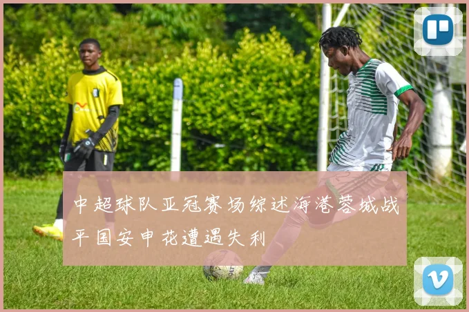 中超球队亚冠赛场综述海港蓉城战平国安申花遭遇失利