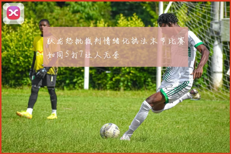 狄龙怒批裁判情绪化执法末节比赛如同5打7让人无奈