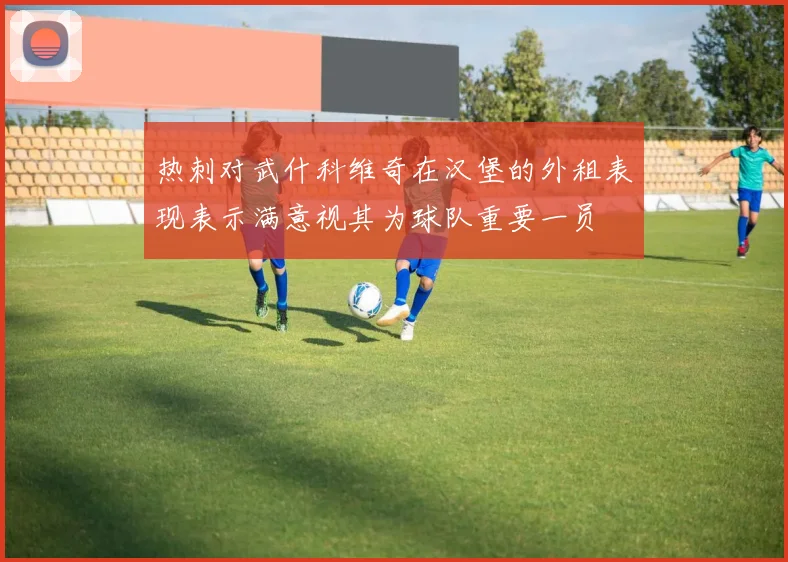 热刺对武什科维奇在汉堡的外租表现表示满意视其为球队重要一员
