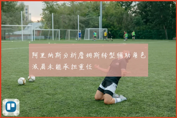 阿里纳斯分析詹姆斯转型辅助角色浓眉未能承担重任