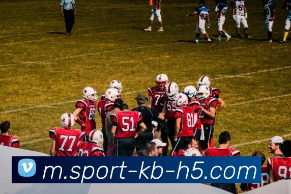 KB体育APP 高清赛事图